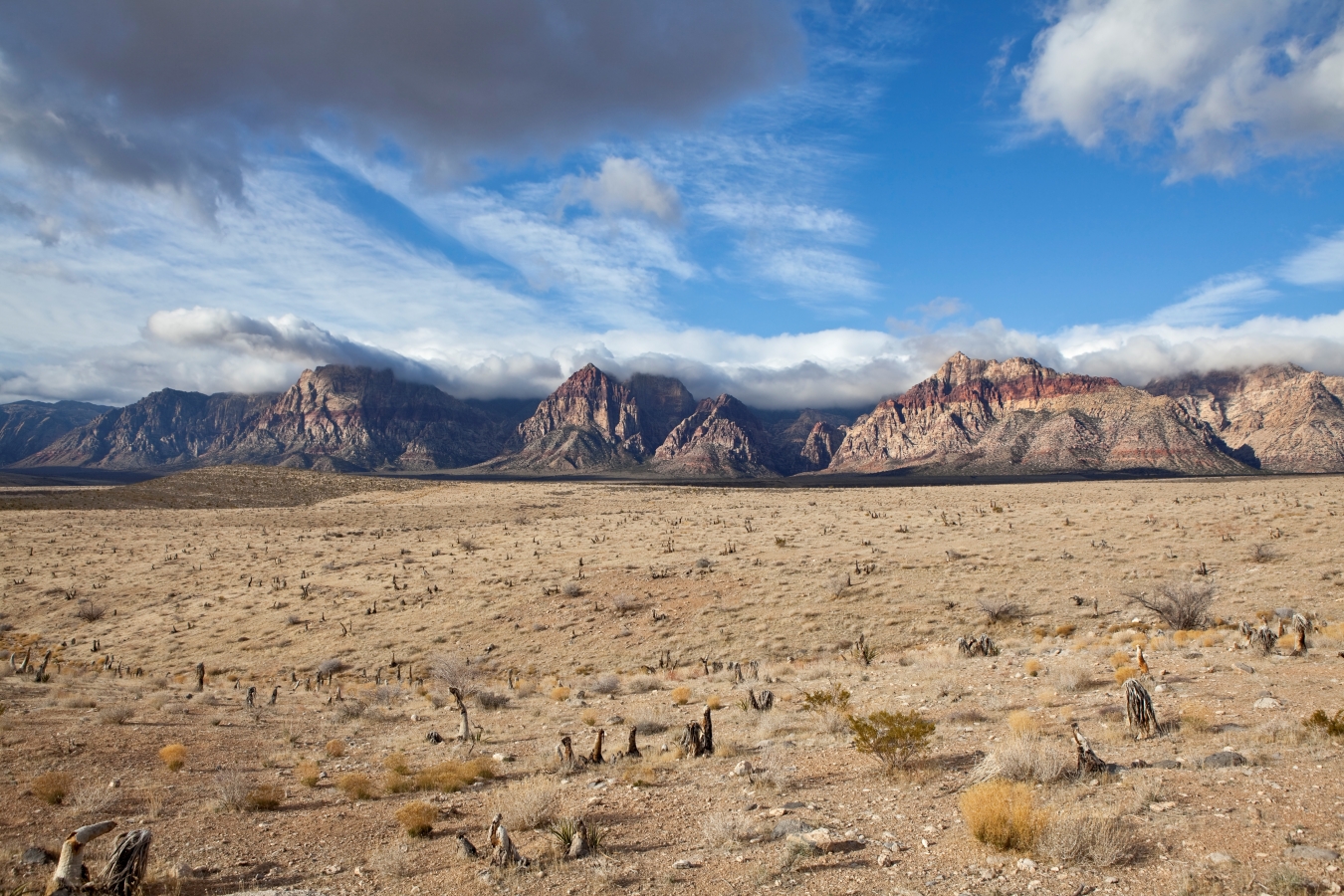 Nevada; Quelle: Depositphotos Nevada; Quelle: Depositphotos