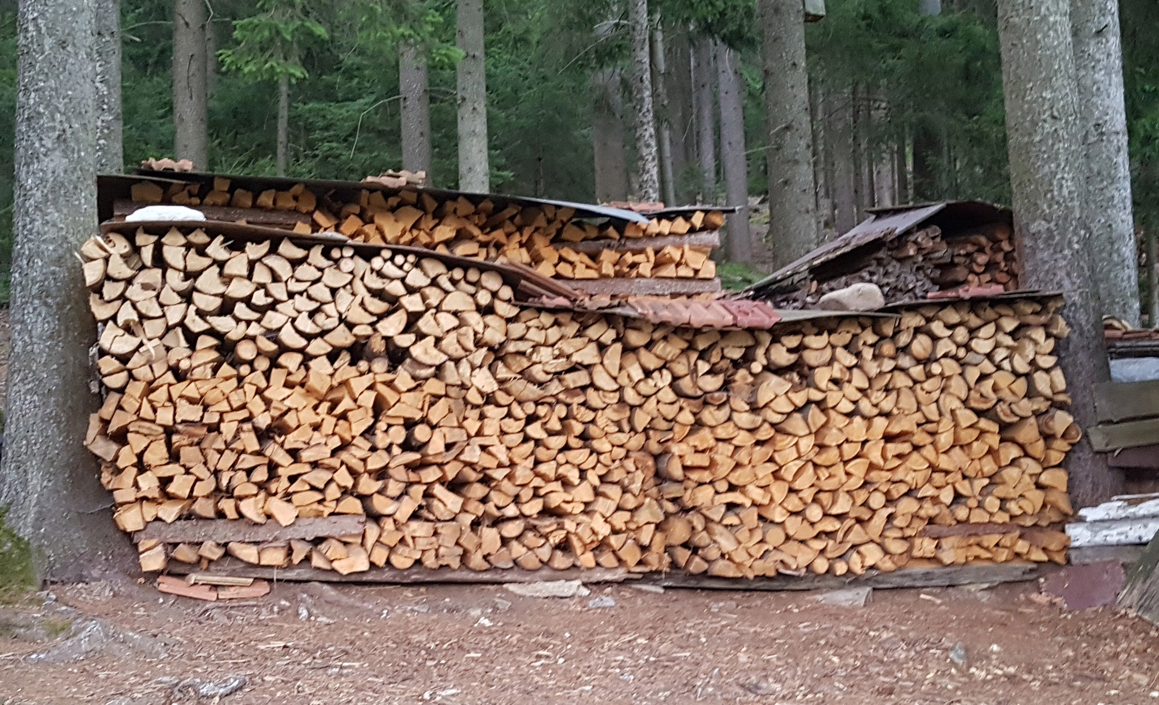 Gestapeltes Holz wird in Raummetern verkauft (Die Bildrechte liegen bei dem Verfasser der Mitteilung.)
