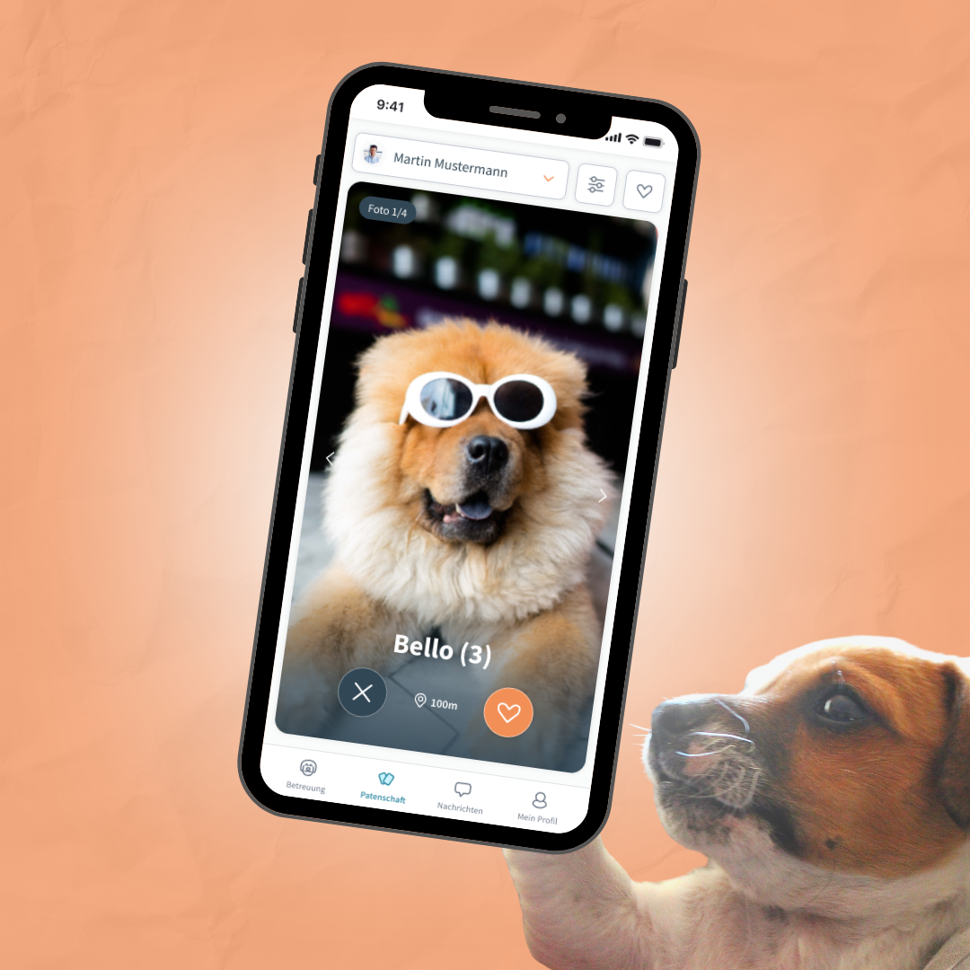 Patzo App