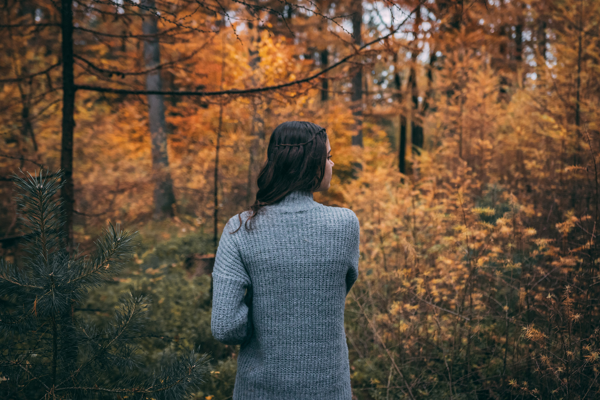 Bauen Sie bei einem Spaziergang im herbstlichen Wald Stress ab (Bildquelle: Harold Wijnholds, Unsplash) Bauen Sie bei einem Spaziergang im herbstlichen Wald Stress ab (Bildquelle: Harold Wijnholds, Unsplash)