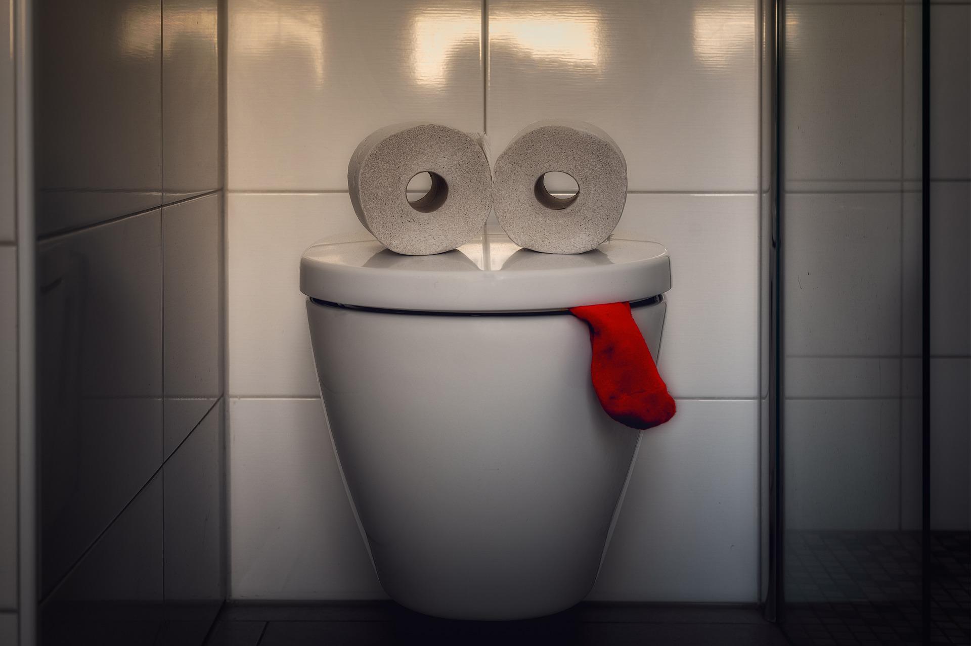 Apotheken beraten, wenn der Darm verrückt spielt (Bildquelle:©pixabay)