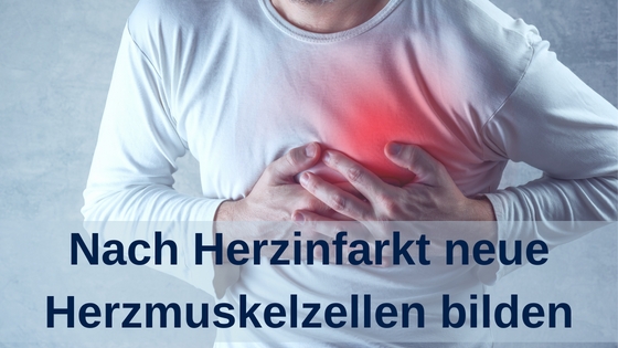 (Die Bildrechte liegen bei dem Verfasser der Mitteilung.)