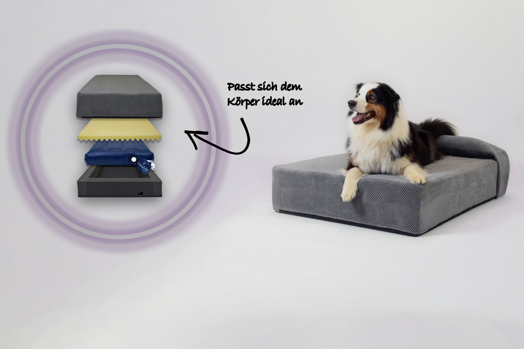 Passt sich dem Hundekörper ideal an: Dynawoof® Passt sich dem Hundekörper ideal an: Dynawoof®
