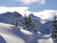Idyllische Winterlandschaft