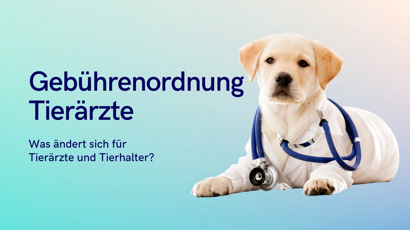 Mit debevet Tierarztpraxis optimieren (Die Bildrechte liegen bei dem Verfasser der Mitteilung.) Mit debevet Tierarztpraxis optimieren (Die Bildrechte liegen bei dem Verfasser der Mitteilung.)
