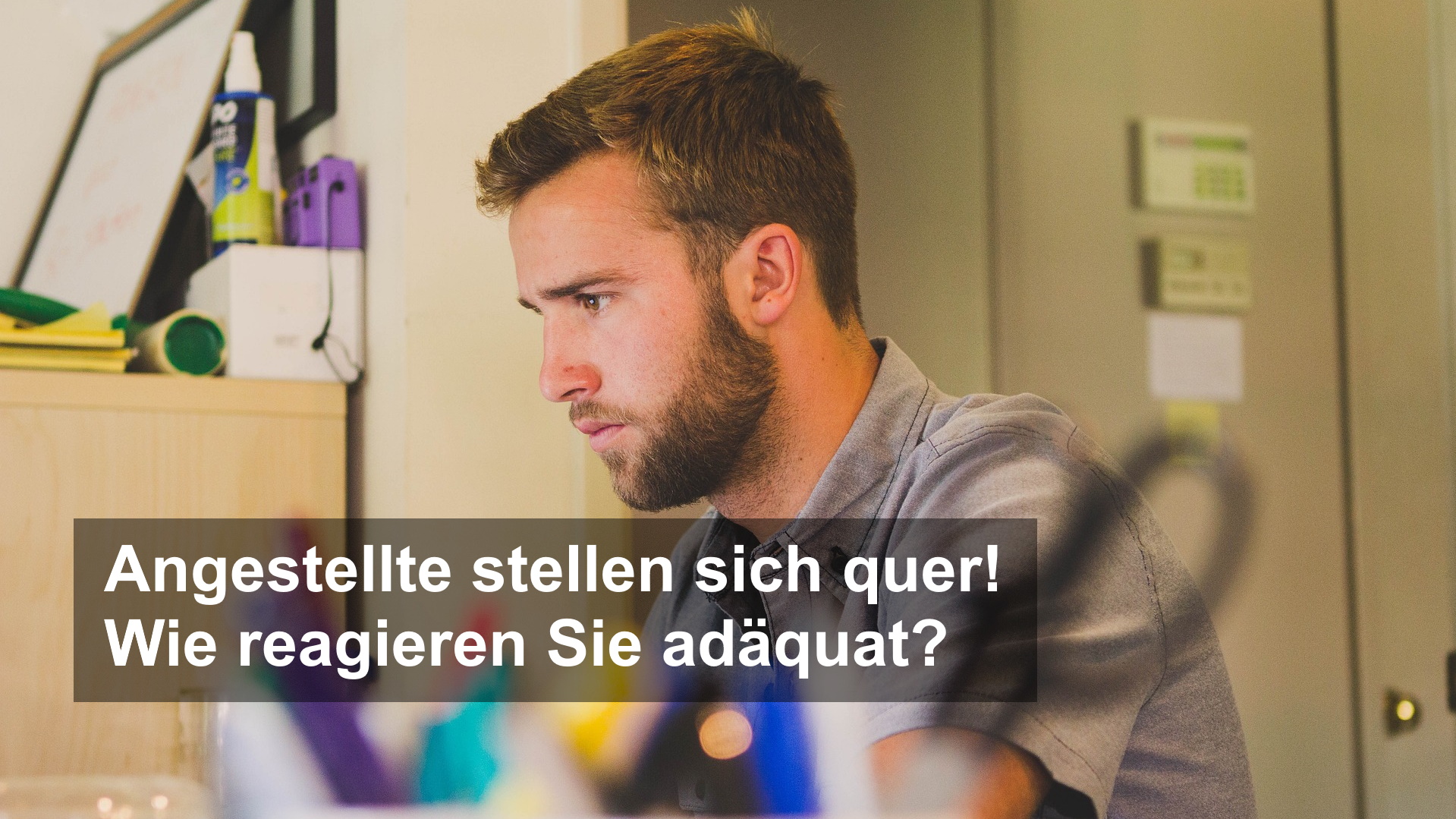 (Bildquelle: https://pixabay.com/de/users/snapwiresnaps-692569)