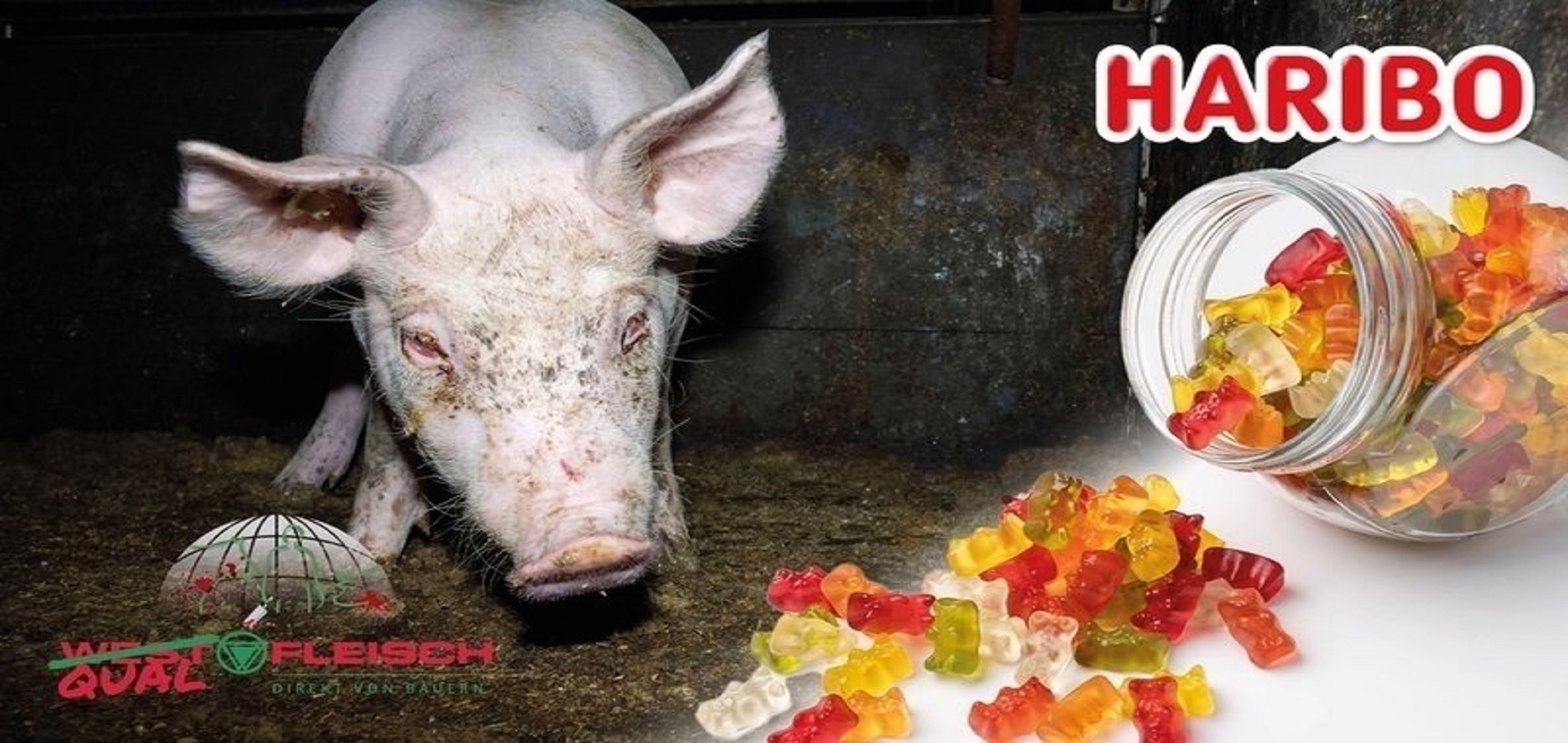 Shitstorm gegen Haribo: Der Süßwarenkonzern bezieht Gelatine von Westfleisch