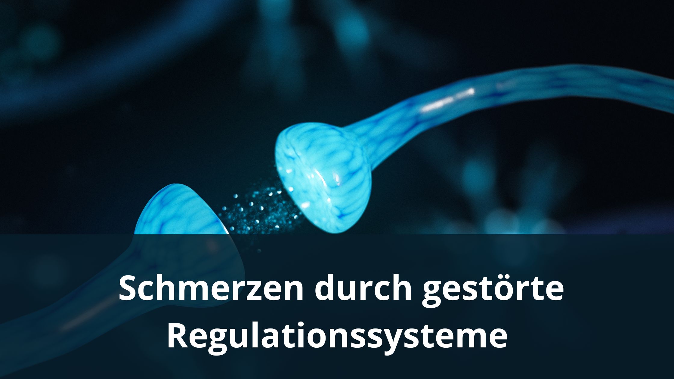 Schmerzen durch gestörte Regulationssysteme (Die Bildrechte liegen bei dem Verfasser der Mitteilung.) Schmerzen durch gestörte Regulationssysteme (Die Bildrechte liegen bei dem Verfasser der Mitteilung.)