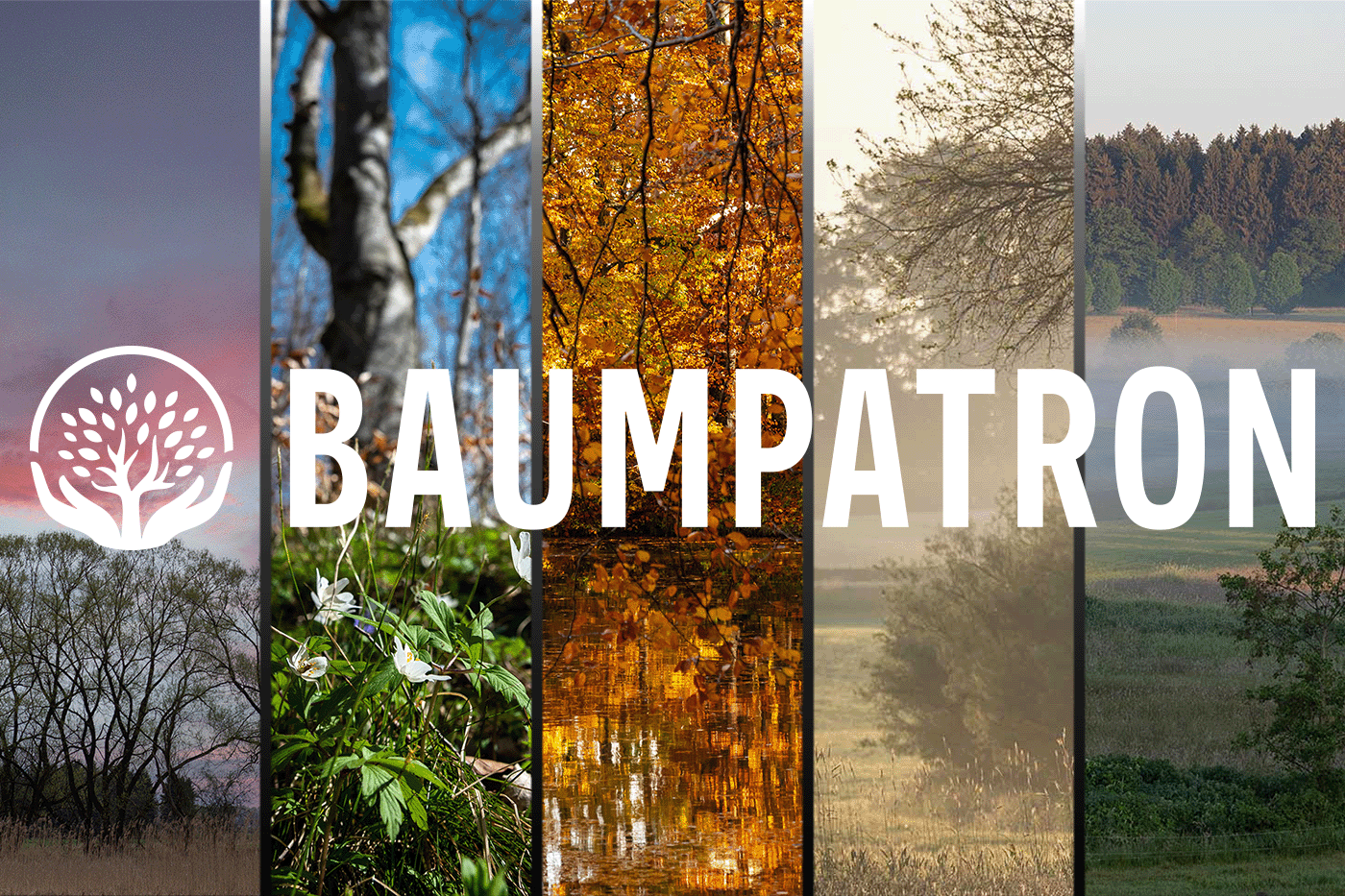 BAUMPATRON - Initiative für CO2-Waldpatenschaften im Elkofer Forst bei München
