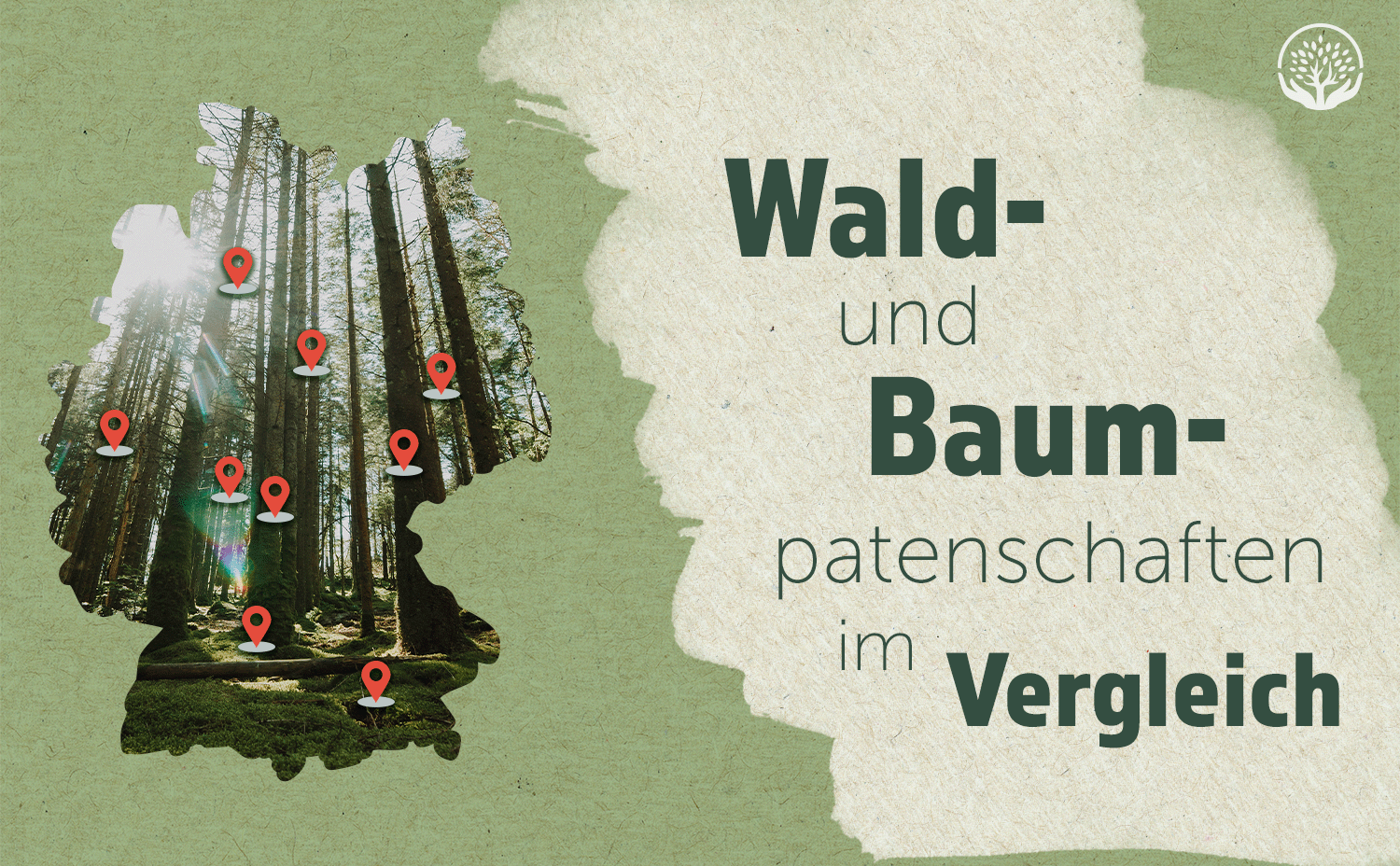 Baumpatron-Übersicht: So unterscheiden sich die verschiedenen regionalen Projekte zum Schutz unserer Wälder in Deutschland Baumpatron-Übersicht: So unterscheiden sich die verschiedenen regionalen Projekte zum Schutz unserer Wälder in Deutschland
