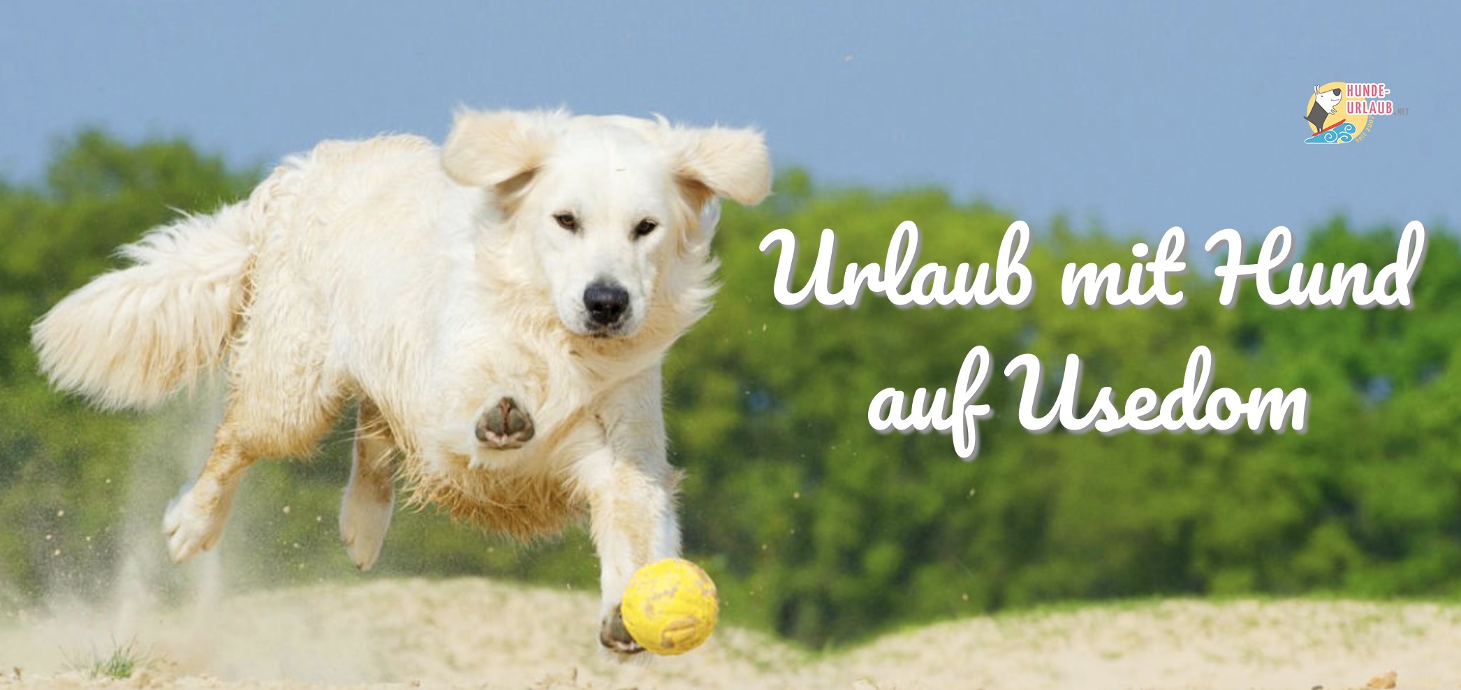 Traum Urlaub mit Hund in Usedom im Ferienhaus mit eingezäuntem Grundstück (Die Bildrechte liegen bei dem Verfasser der Mitteilung.)