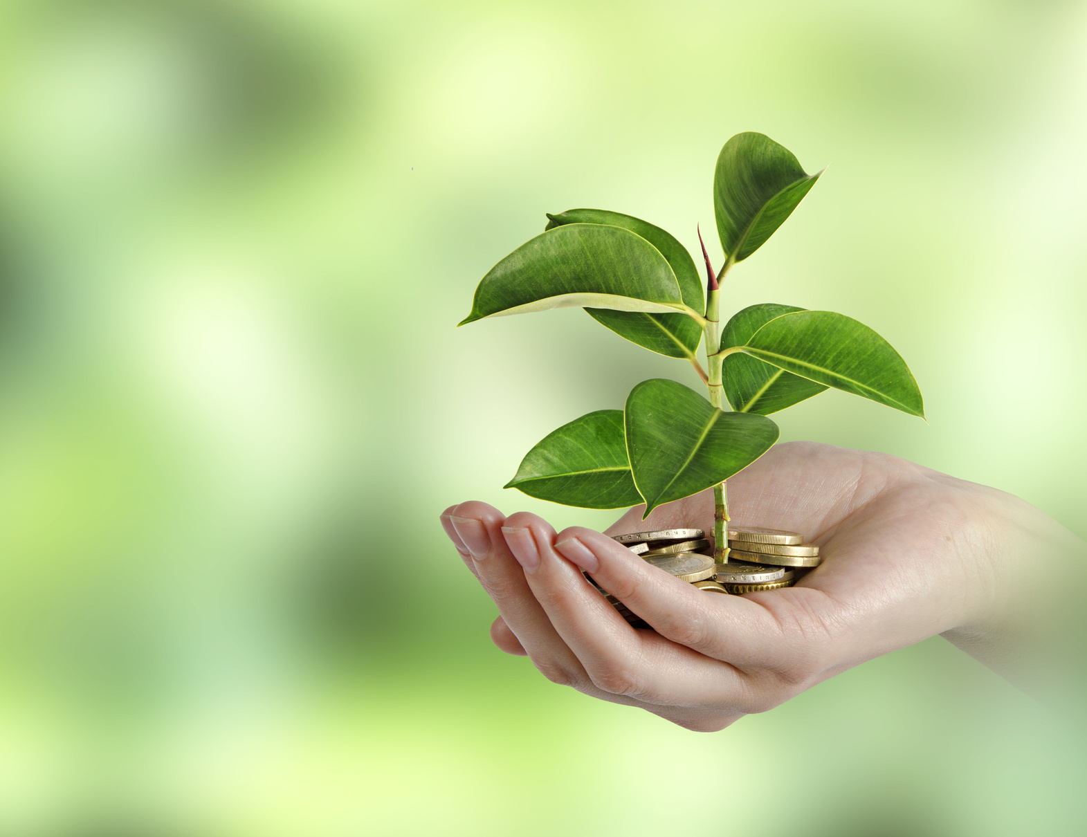 So einfach finanzieren Sie Ihren Wunschlehrgang (Die Bildrechte liegen bei dem Verfasser der Mitteilung.)