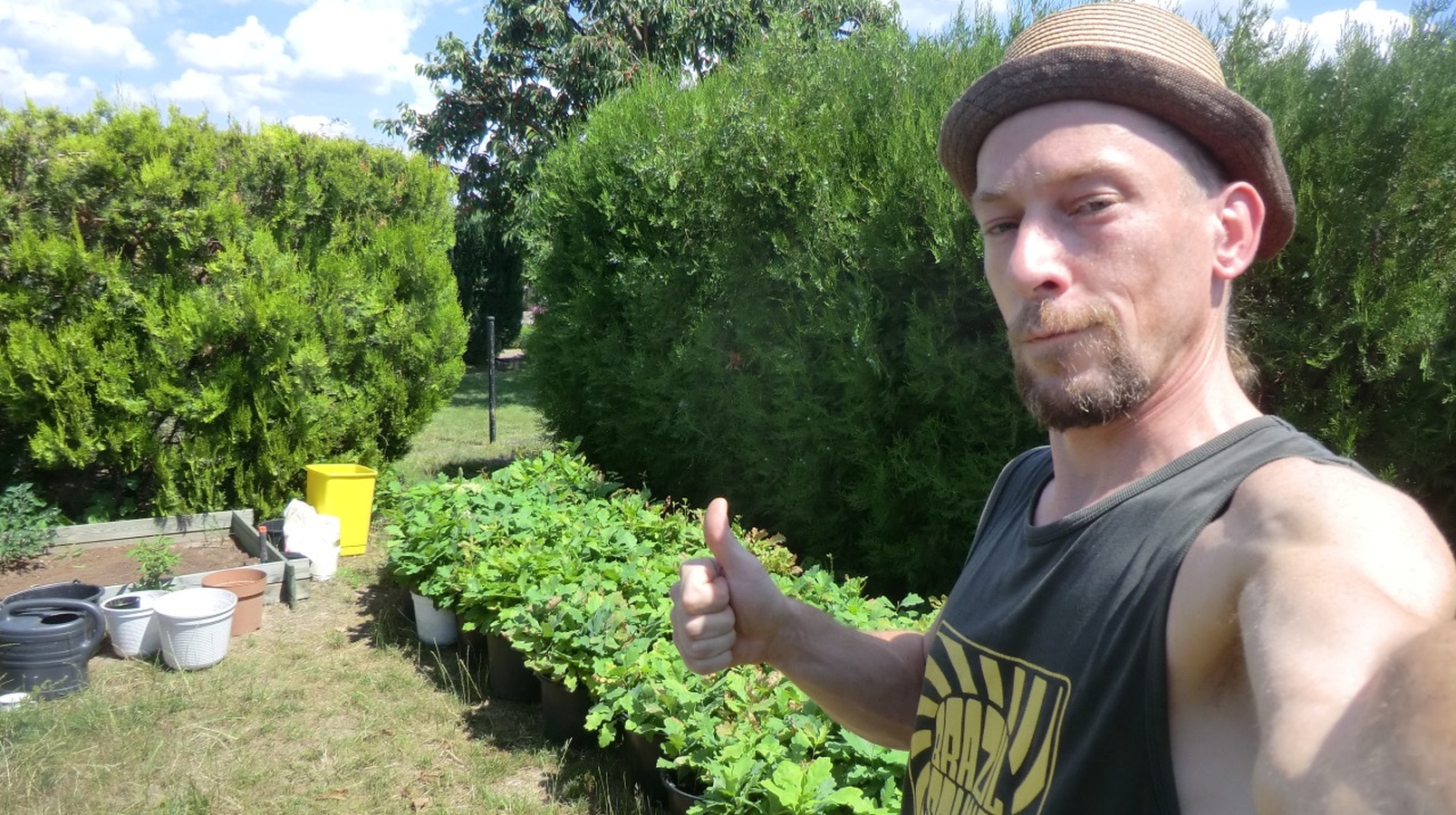 Gründer vom Urban Greening und Vertical Farming Startup sowie der Trillion Trees Initiative.