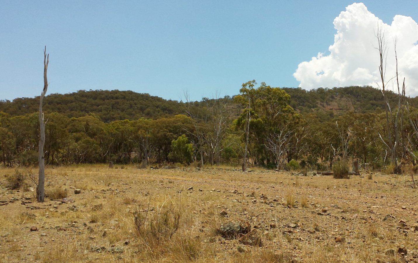 Blick über Taronga South Zone; Foto: First Tinn Blick über Taronga South Zone; Foto: First Tinn