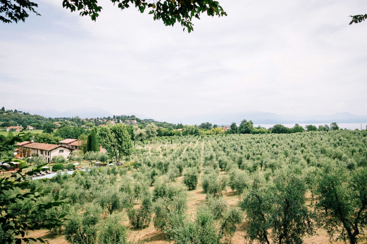 Bilduntertitel: Blick vom Hofladen auf den hauseigenen Olivenhain und den Gardasee (© Calvino Gusto Supremo)