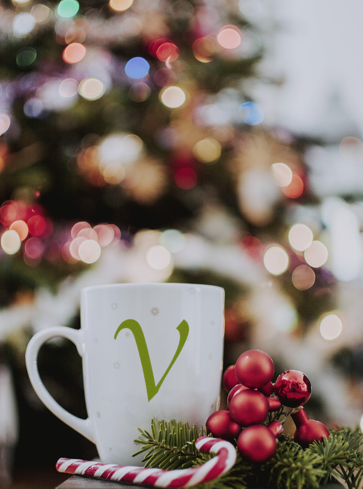 Vegane Weihnachten (Die Bildrechte liegen bei dem Verfasser der Mitteilung.) Vegane Weihnachten (Die Bildrechte liegen bei dem Verfasser der Mitteilung.)