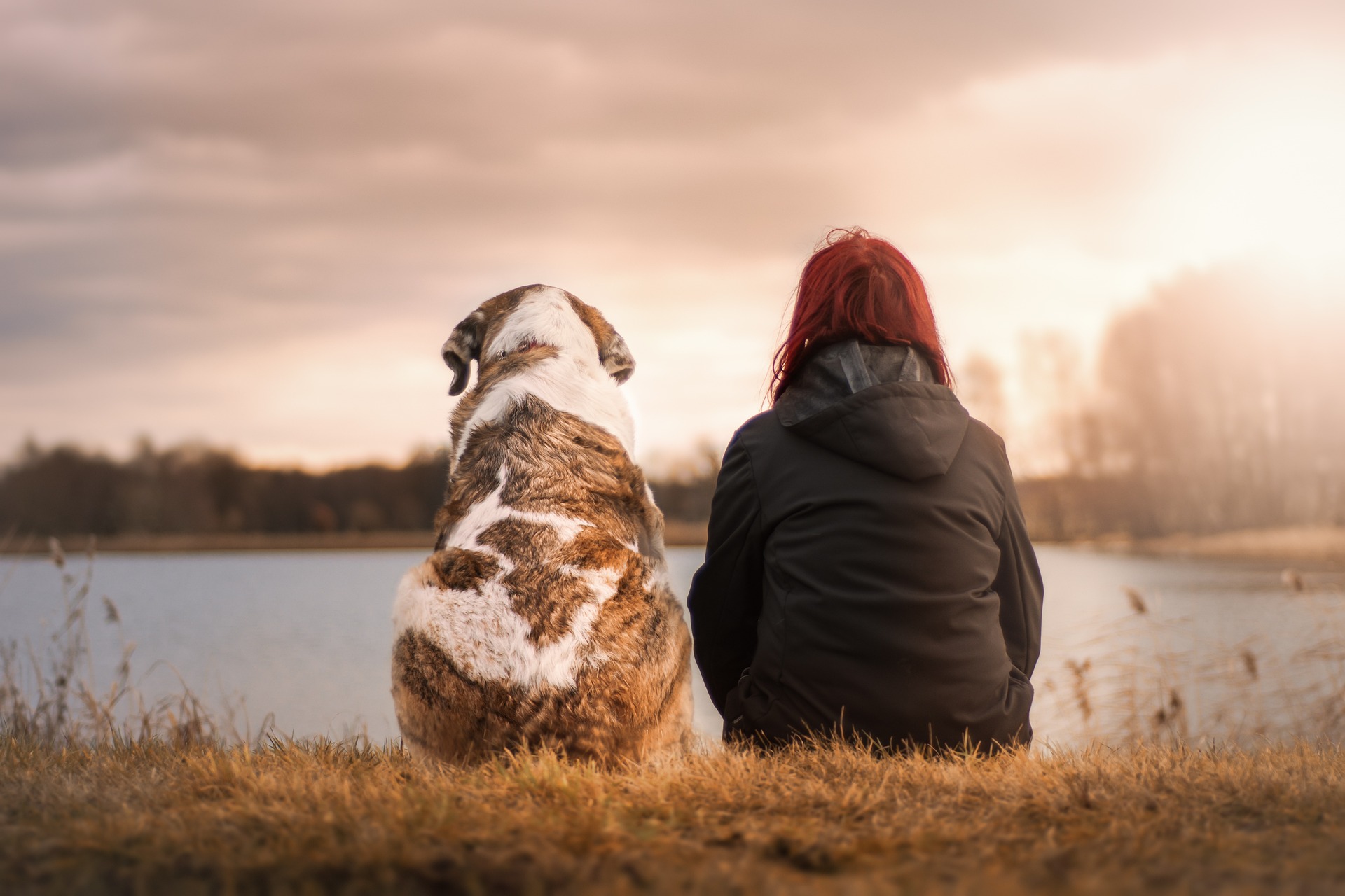 Tiere sind in einsamen Stunden Trost und Halt. (Bildquelle: Sven Lachmann auf Pixabay) Tiere sind in einsamen Stunden Trost und Halt. (Bildquelle: Sven Lachmann auf Pixabay)