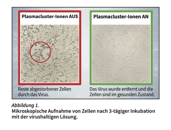 (Die Bildrechte liegen bei dem Verfasser der Mitteilung.) (Die Bildrechte liegen bei dem Verfasser der Mitteilung.)