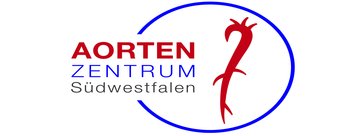 Bei einer Aortendissektion wird von Medizinern zwischen Typ A und Typ B unterschieden. (Die Bildrechte liegen bei dem Verfasser der Mitteilung.) Bei einer Aortendissektion wird von Medizinern zwischen Typ A und Typ B unterschieden. (Die Bildrechte liegen bei dem Verfasser der Mitteilung.)