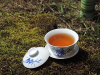 Gaiwan mit Schwarztee, Foto: Drachenhaus Verlag