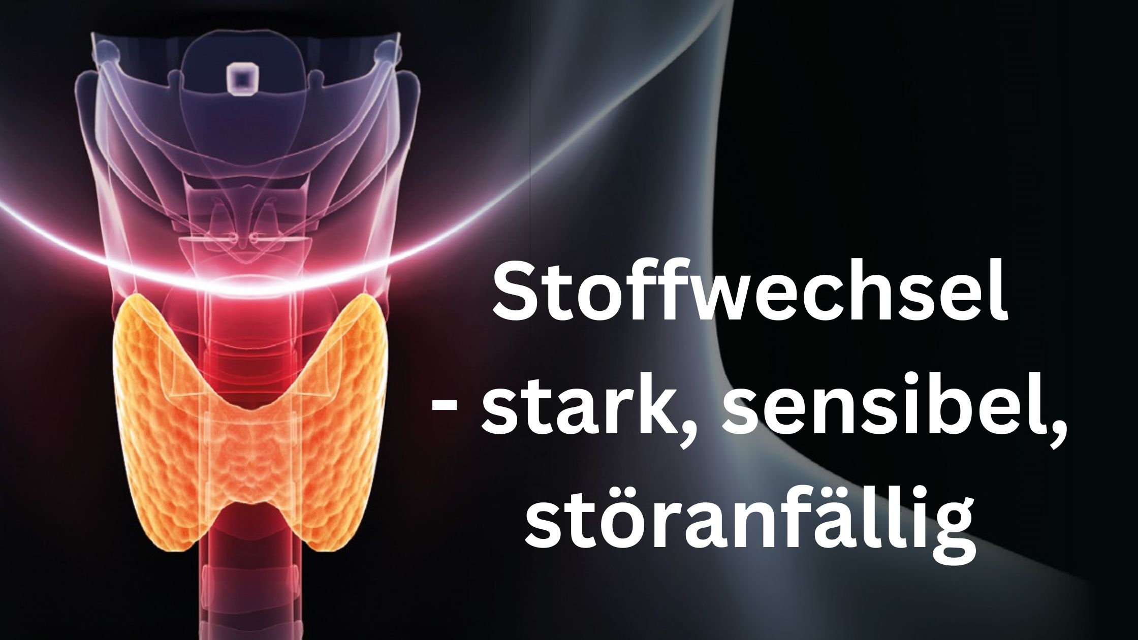 Stoffwechsel - stark, sensibel, störanfällig (Die Bildrechte liegen bei dem Verfasser der Mitteilung.) Stoffwechsel - stark, sensibel, störanfällig (Die Bildrechte liegen bei dem Verfasser der Mitteilung.)