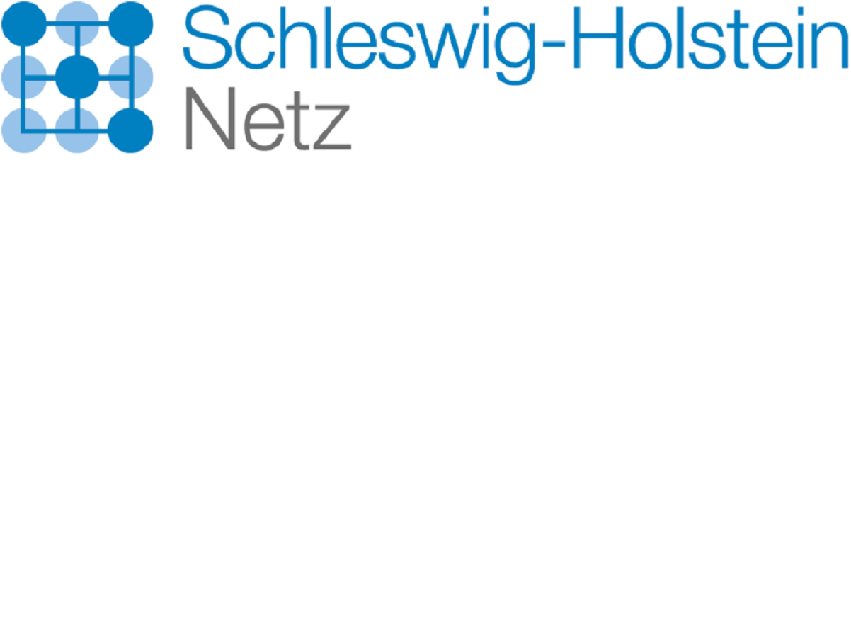 Die Schleswig-Holstein Netz AG Die Schleswig-Holstein Netz AG