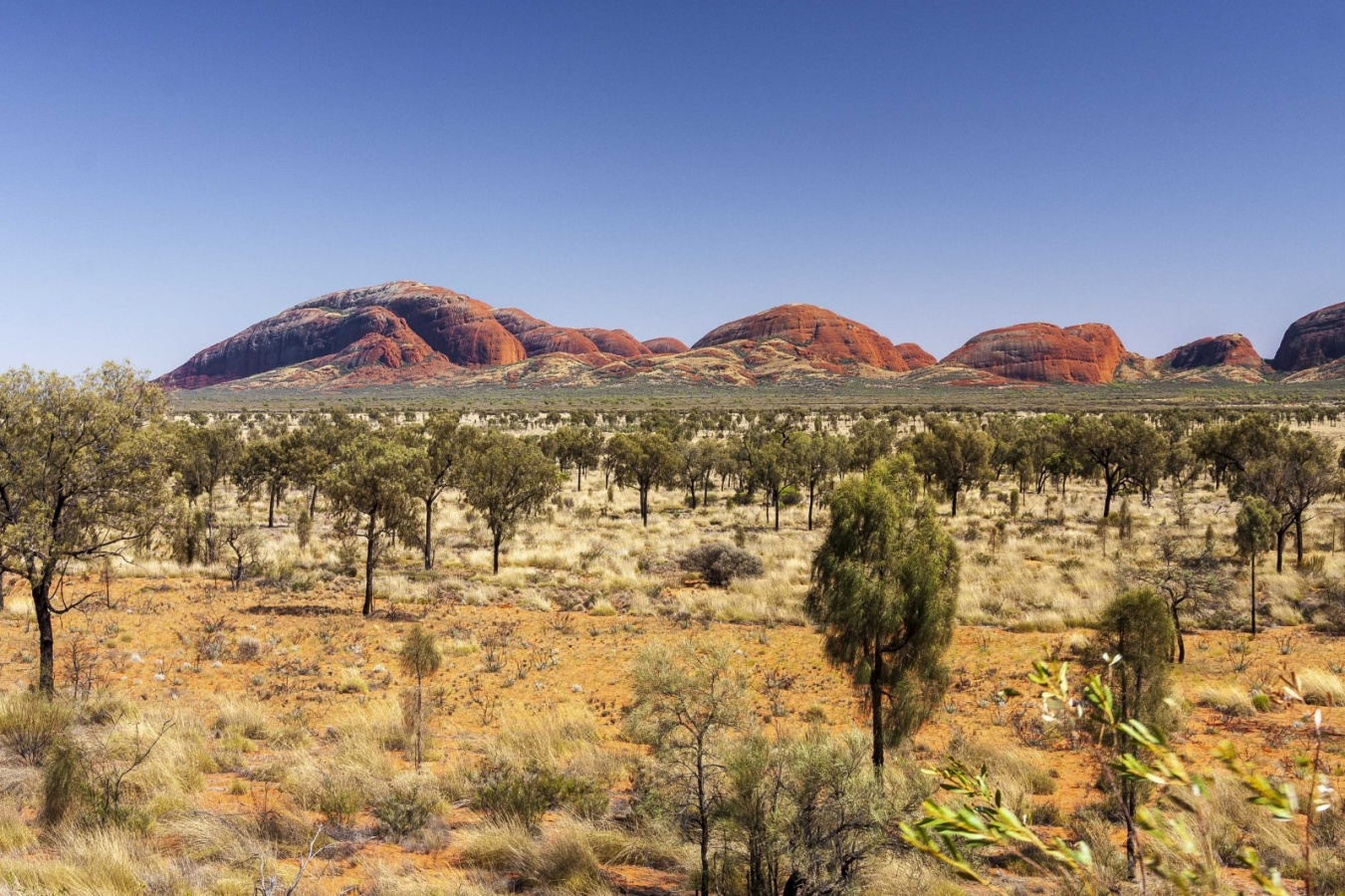 Zentralaustralische Landschaft; Foto: Depositphotos Zentralaustralische Landschaft; Foto: Depositphotos