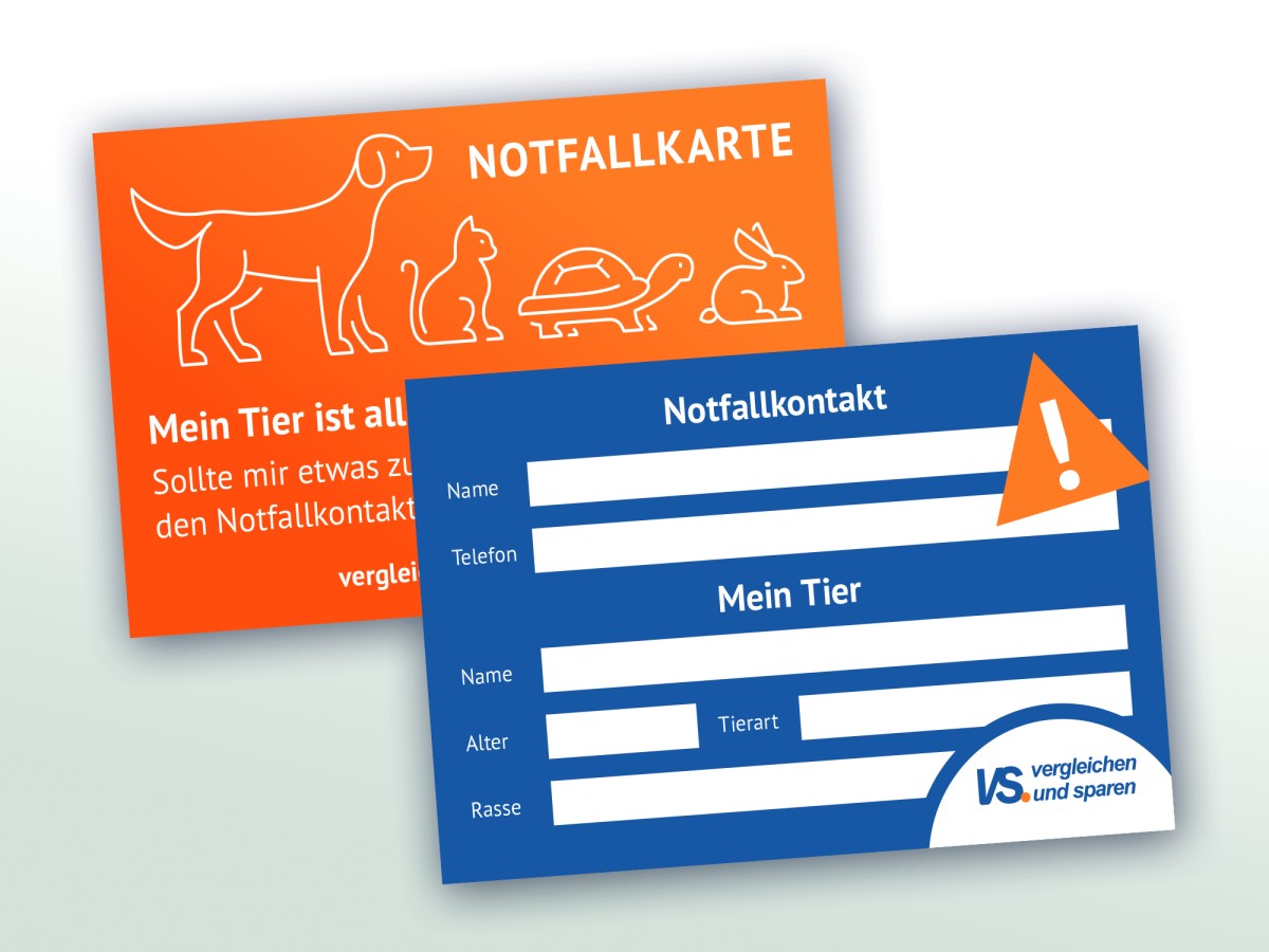 Die Notfallkarte informiert Retter darüber, dass ein Haustier versorgt werden muss. (Grafik © vs vergleichen-und-sparen GmbH)
