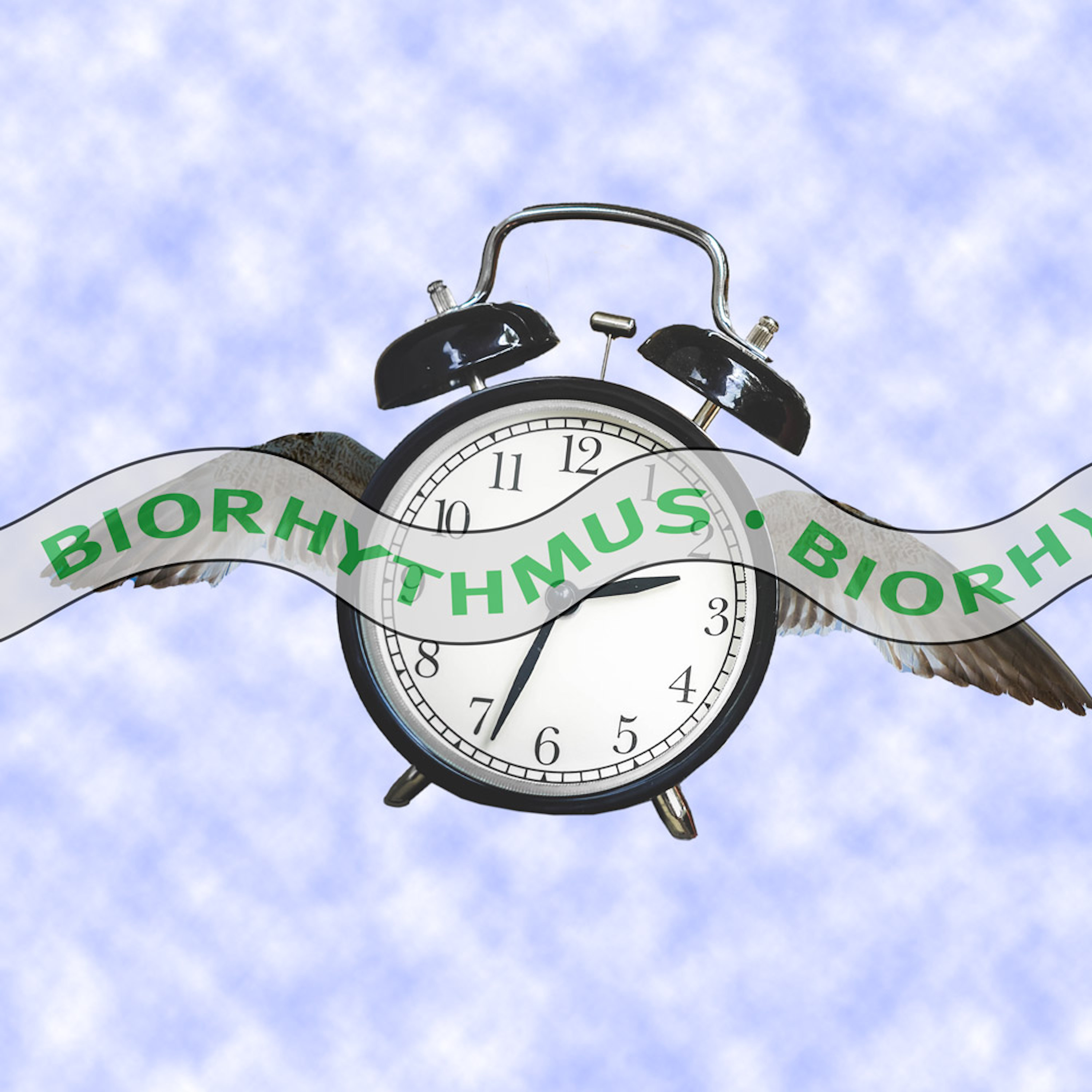 Es lohnt sich, ein Team mit den inneren Uhren und den persönlichen inneren Rhythmen zu bilden.