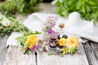 Produkte aus Kräutern und Moor (SonnenMoor)