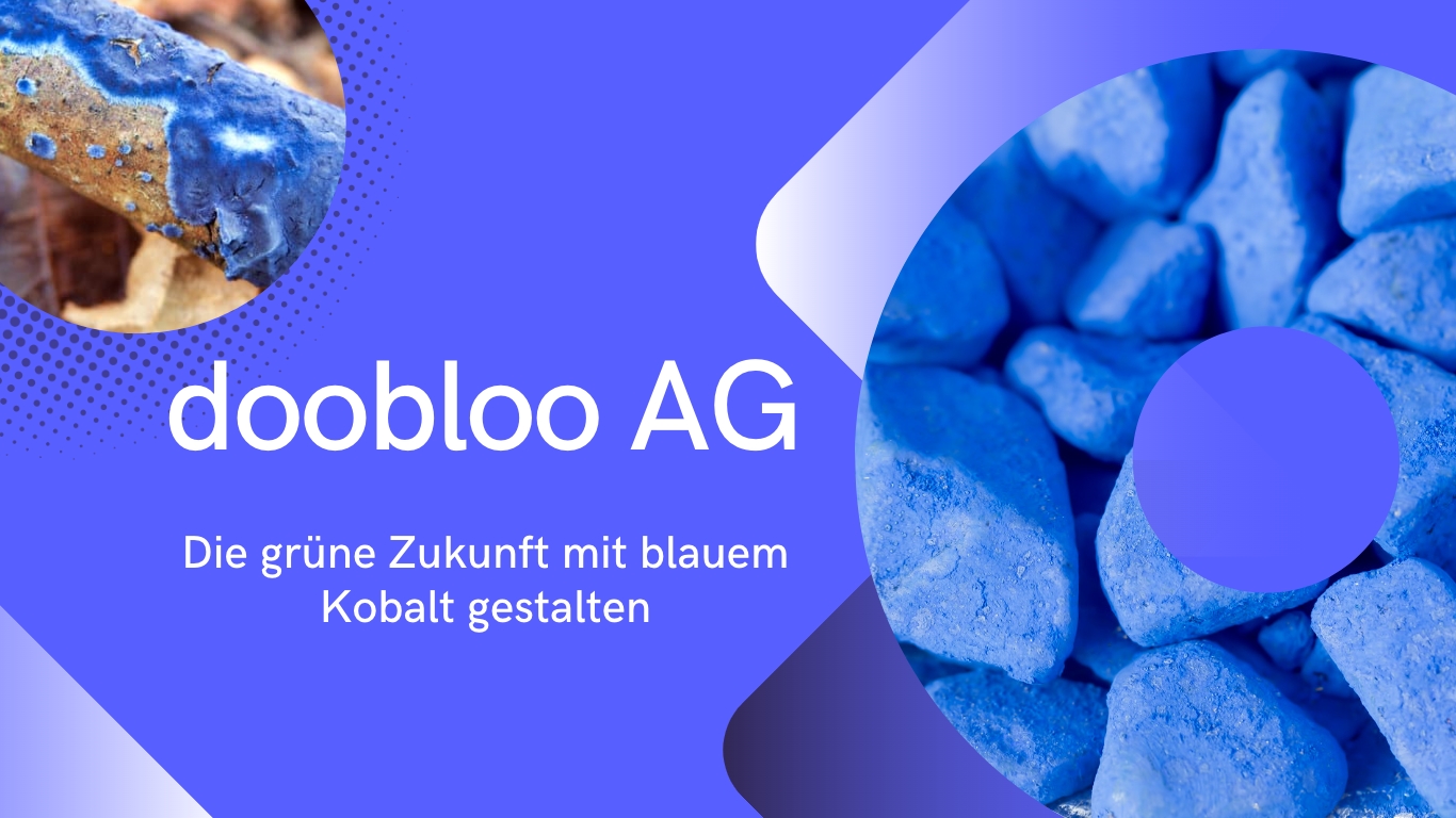 Doobloo AG - Kobalt für die Zukunft (Die Bildrechte liegen bei dem Verfasser der Mitteilung.) Doobloo AG - Kobalt für die Zukunft (Die Bildrechte liegen bei dem Verfasser der Mitteilung.)