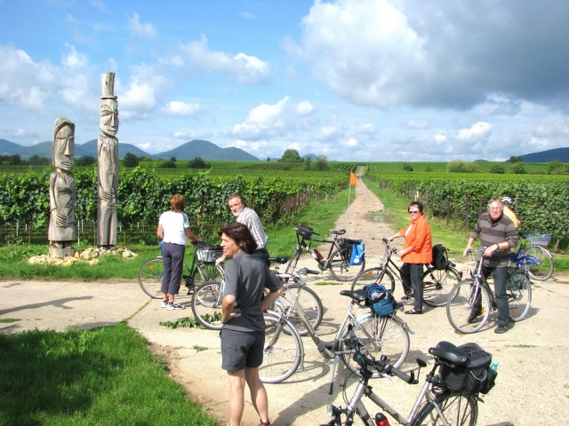 Erlebnisfahrradtouren für Gruppen in der Pfalz