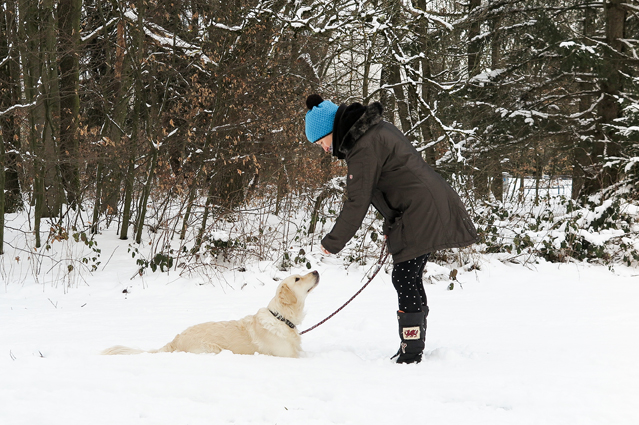 Bei Gassirunden in der Dunkelheit sollten Hundebesitzer reflektierende Kleidung tragen. (Bildquelle: ERGO Group) Bei Gassirunden in der Dunkelheit sollten Hundebesitzer reflektierende Kleidung tragen. (Bildquelle: ERGO Group)