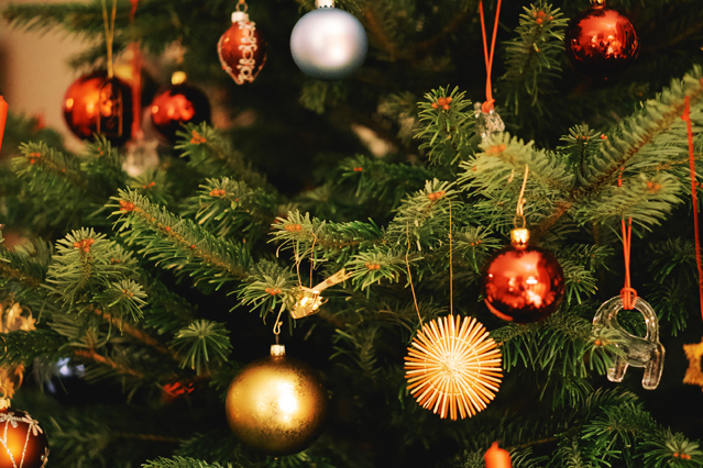Christbäume gibt es auch zum Mieten im Topf. (Bildquelle: ERGO Group)