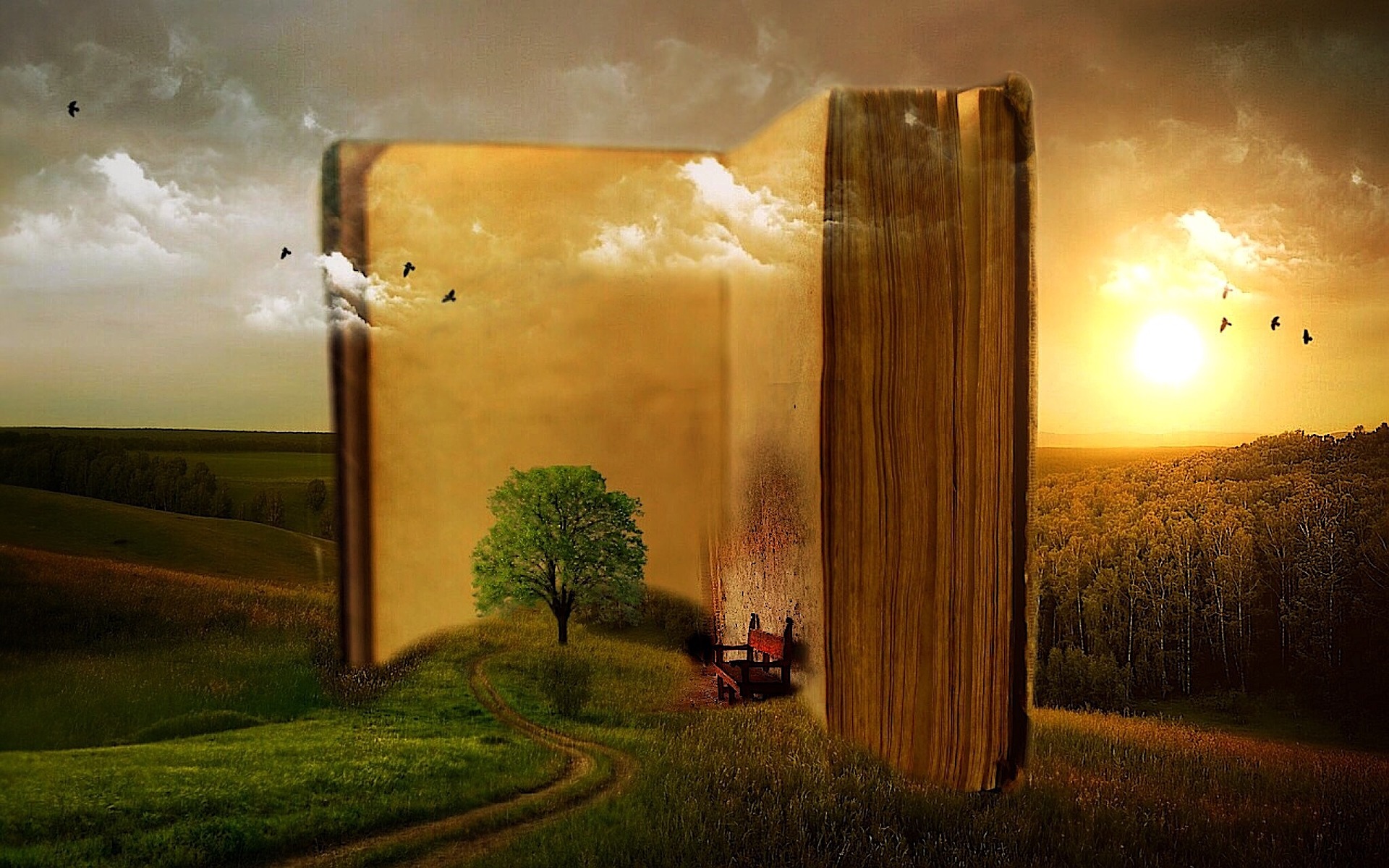 Die Magie der zwei Bücher (Bildquelle: Pixabay Lizenz)