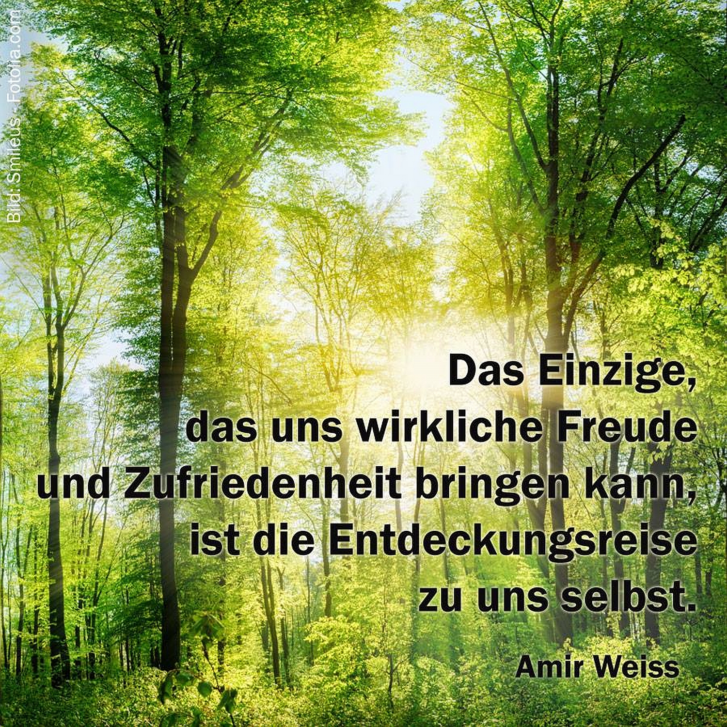 Wie Sehnsucht, Suche und Sucht zusammenhängen? Ein lebendiges Leben sucht und findet Sinn im Leben! Wie Sehnsucht, Suche und Sucht zusammenhängen? Ein lebendiges Leben sucht und findet Sinn im Leben!