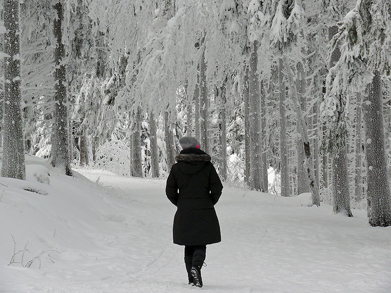 Bei einem achtsamen Winterspaziergang können Sie entspannen und Stressprävention betreiben (Bildquelle: moritz320, Pixabay) Bei einem achtsamen Winterspaziergang können Sie entspannen und Stressprävention betreiben (Bildquelle: moritz320, Pixabay)