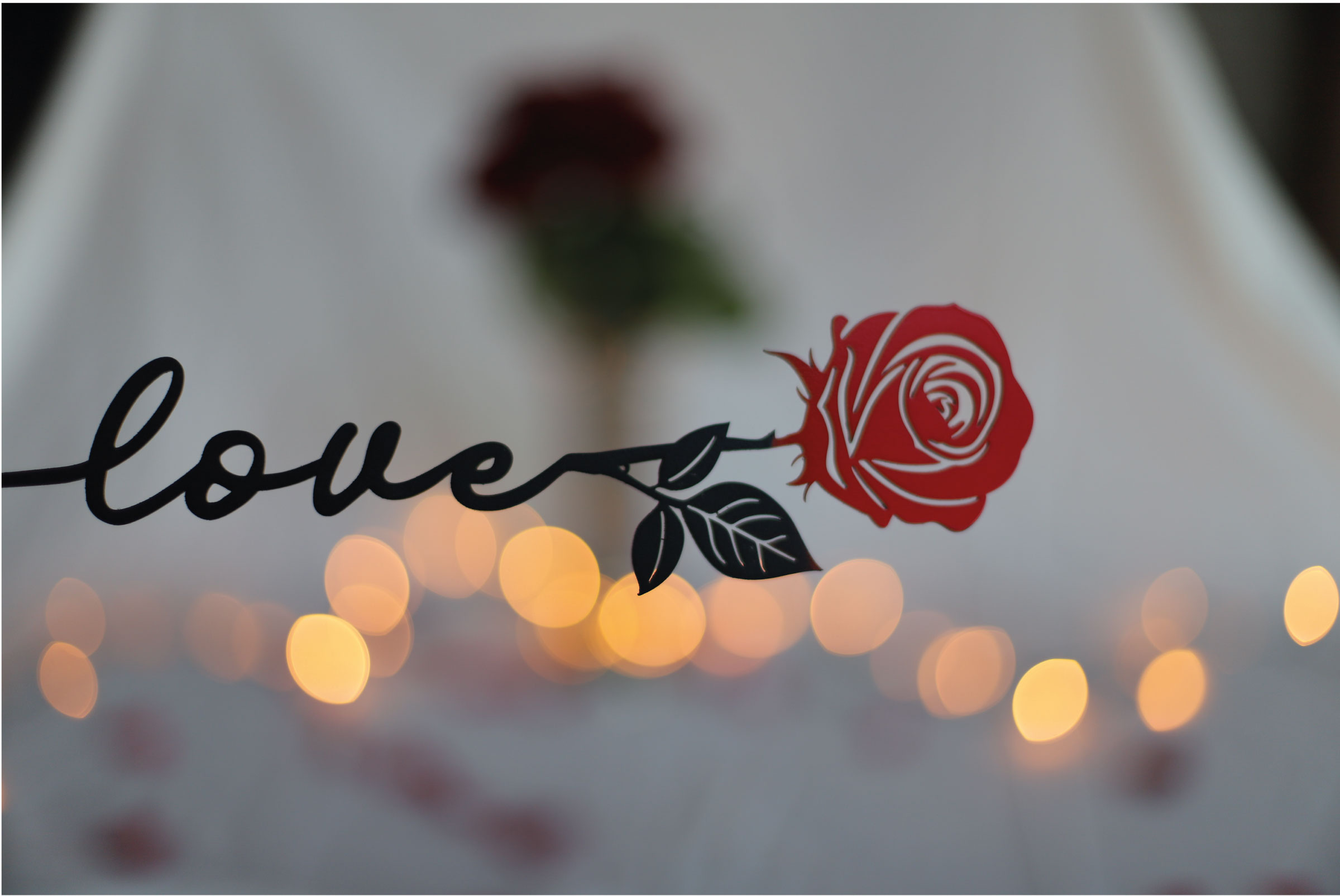 STEELMONKS Rose zum Valentinstag (Die Bildrechte liegen bei dem Verfasser der Mitteilung.)
