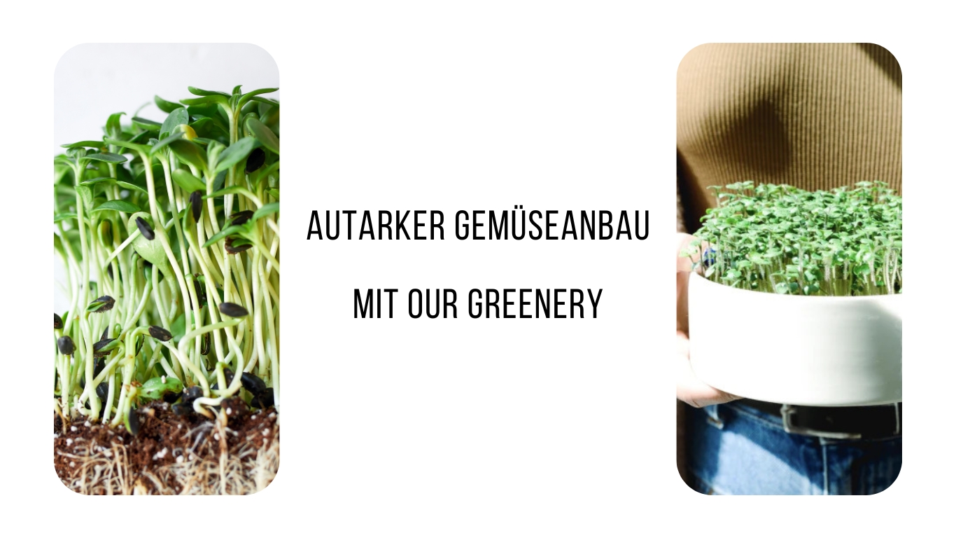 Our Greenery - Autarker Gemüseanbau (Die Bildrechte liegen bei dem Verfasser der Mitteilung.) Our Greenery - Autarker Gemüseanbau (Die Bildrechte liegen bei dem Verfasser der Mitteilung.)