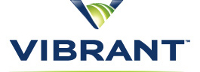 Vibrant verleiht die Vibrant Awards seit 2008 jährlich in den USA und Europa
