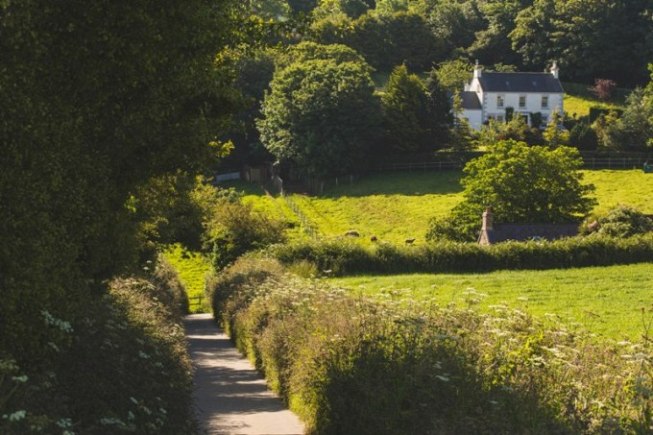 Hecken prägen inzwischen wieder das Landschaftsbild auf Jersey. Foto: Visit Jersey Hecken prägen inzwischen wieder das Landschaftsbild auf Jersey. Foto: Visit Jersey