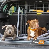 Fahrzeugspezifische Hundegitter und Kofferraumteiler vom Weltmarktführer. © Travall