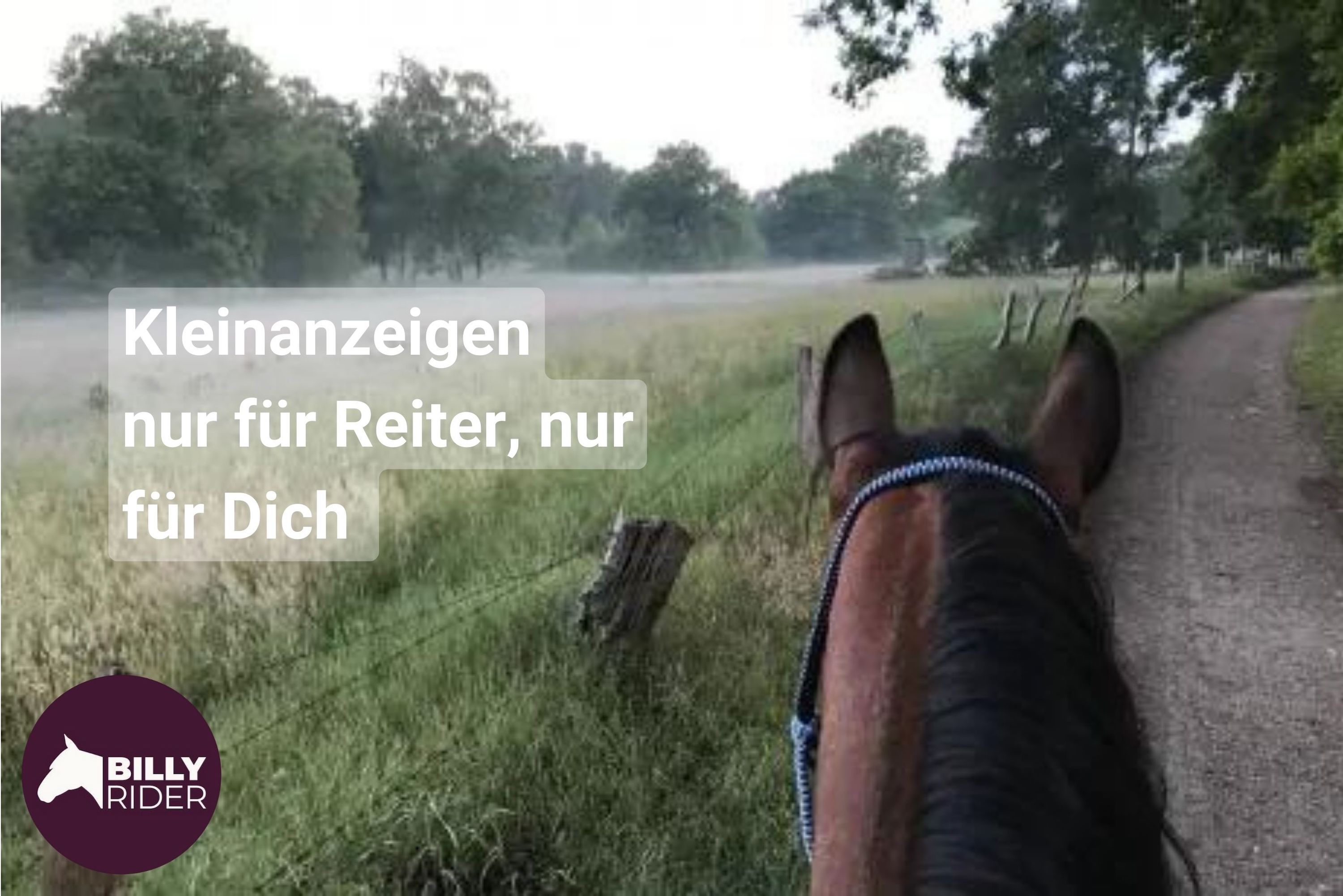 Mood_BillyRider (Die Bildrechte liegen bei dem Verfasser der Mitteilung.) Mood_BillyRider (Die Bildrechte liegen bei dem Verfasser der Mitteilung.)