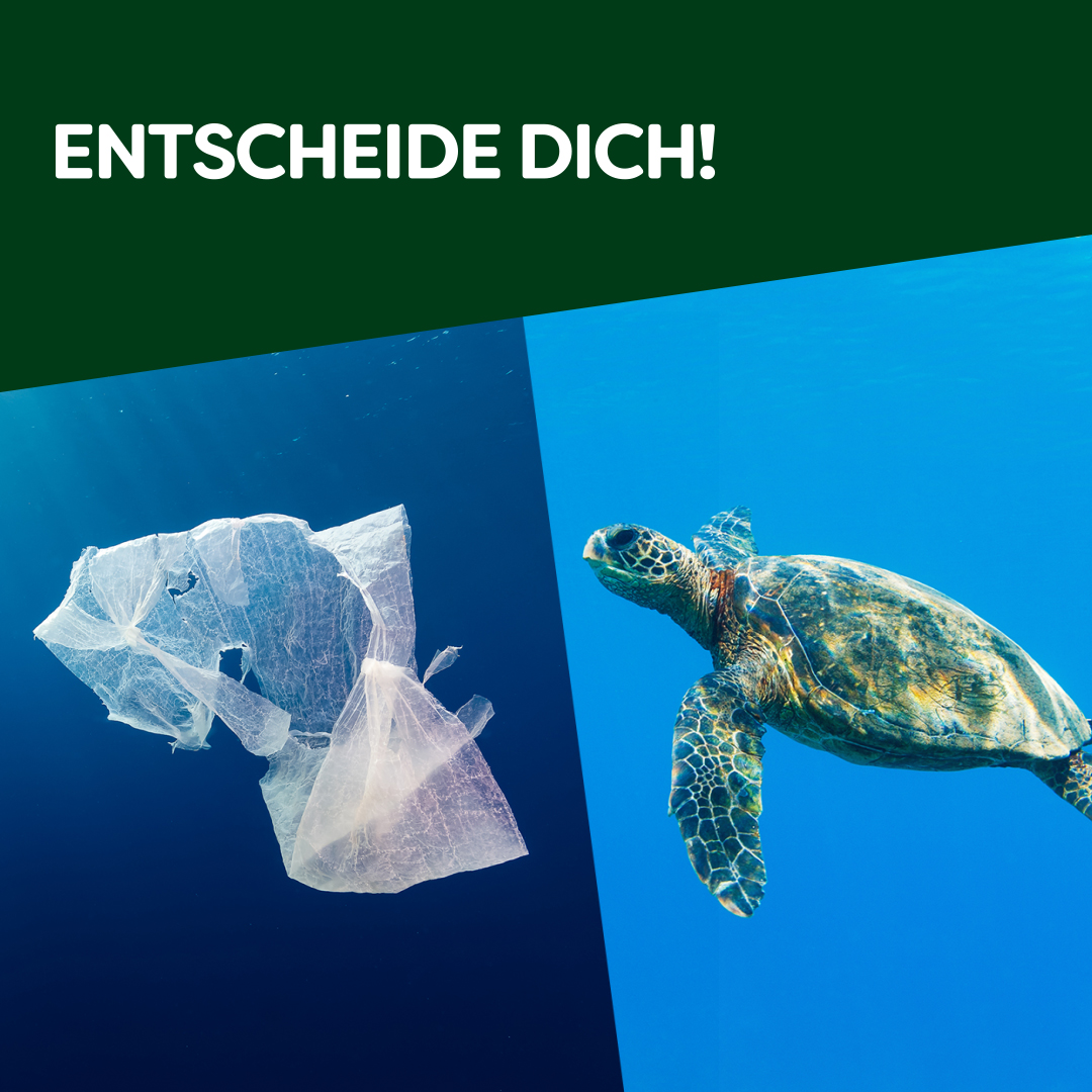 Die Bildrechte liegen bei Unilever Food Solutions & Langnese. Die Bildrechte liegen bei Unilever Food Solutions & Langnese.