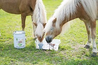 SonnenMoor ist ideal für Pferde (SonnenMoor)