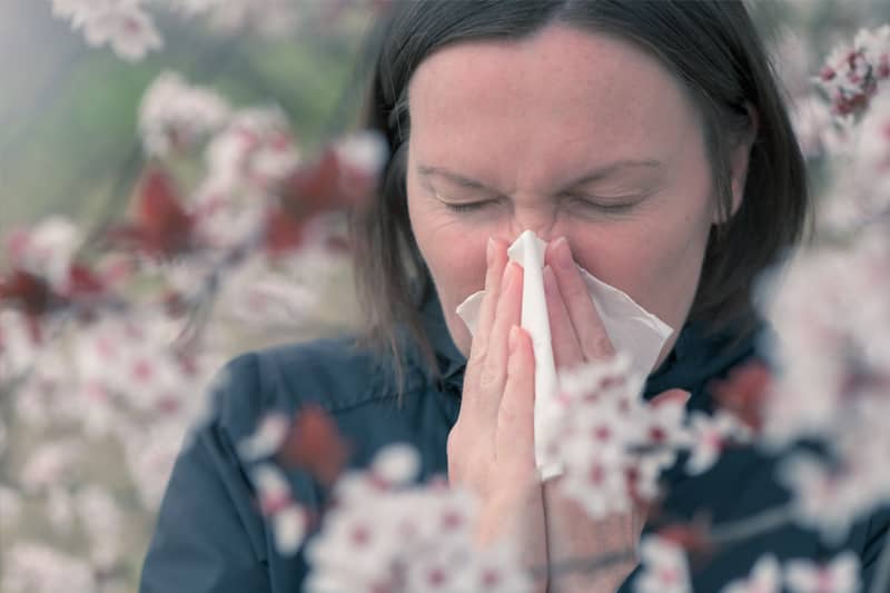 Luftreiniger gegen Pollen (Bildquelle: stevanovicigor) Luftreiniger gegen Pollen (Bildquelle: stevanovicigor)