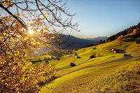 Wandern bei herbstlichen Sonnenstrahlen (c) Liechtenstein Marketing