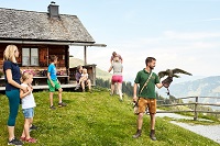Staunende Kinderaugen bei der Greifvogelschau auf der Hochalm (c) MAYA Inspiranto (Tourismusverband 