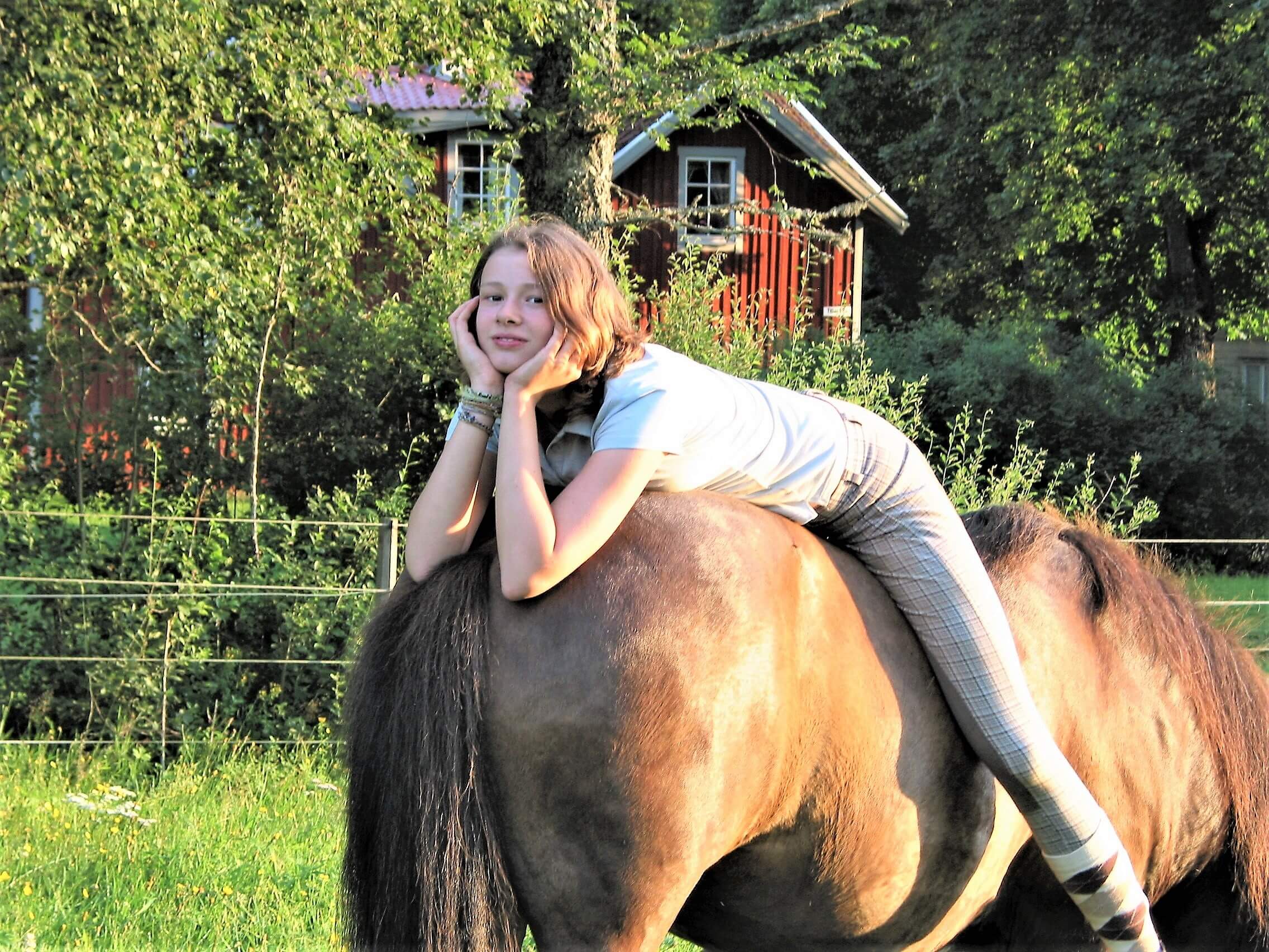 Das Glück der Erde liegt auf dem Rücken der Pferde (Die Bildrechte liegen bei dem Verfasser der Mitteilung.)