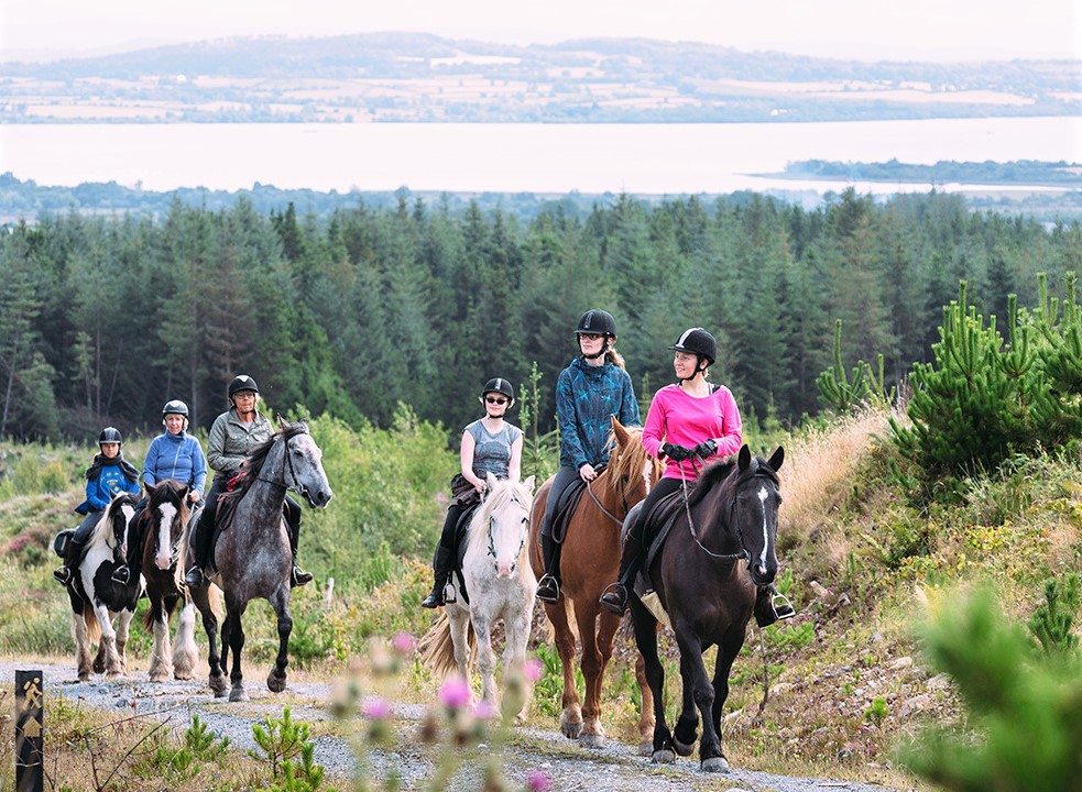 Wanderreiten in Irland (Die Bildrechte liegen bei dem Verfasser der Mitteilung.) Wanderreiten in Irland (Die Bildrechte liegen bei dem Verfasser der Mitteilung.)